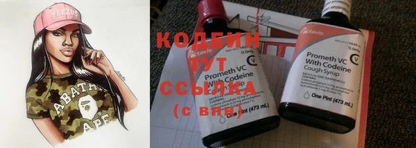 гашик Арсеньев