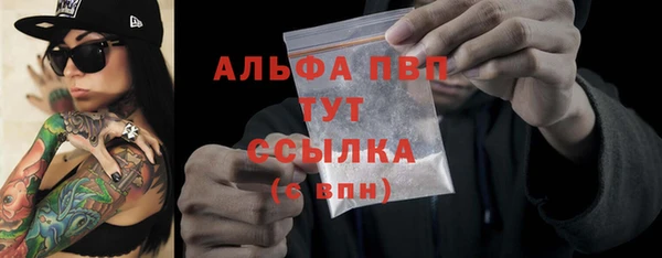 гашик Арсеньев