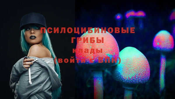 гашик Арсеньев