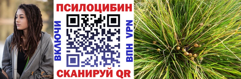 Галлюциногенные грибы прущие грибы  купить   Южно-Сухокумск 